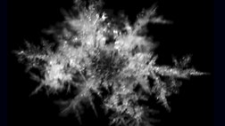 A gadget that can snap photos of individual snowflakes in freefall could lead to more accurate weather predictions.